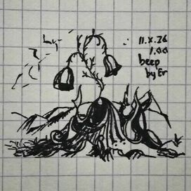 beep