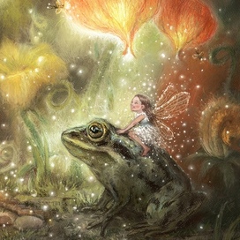 Fairy on a frog