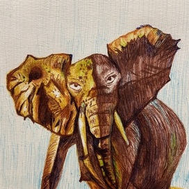 An elephant ( master klass) 