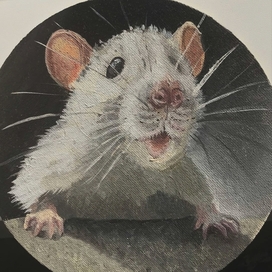 Mouse 