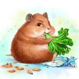 A hamster chews salad