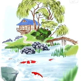 The carp koi pond
