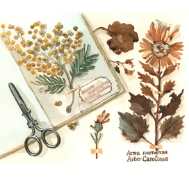 Herbarium