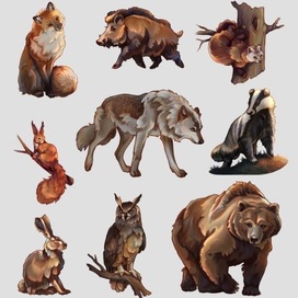 Collection woodland animals, storytelling, storybook 