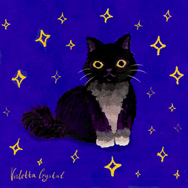 A cat made of stardust