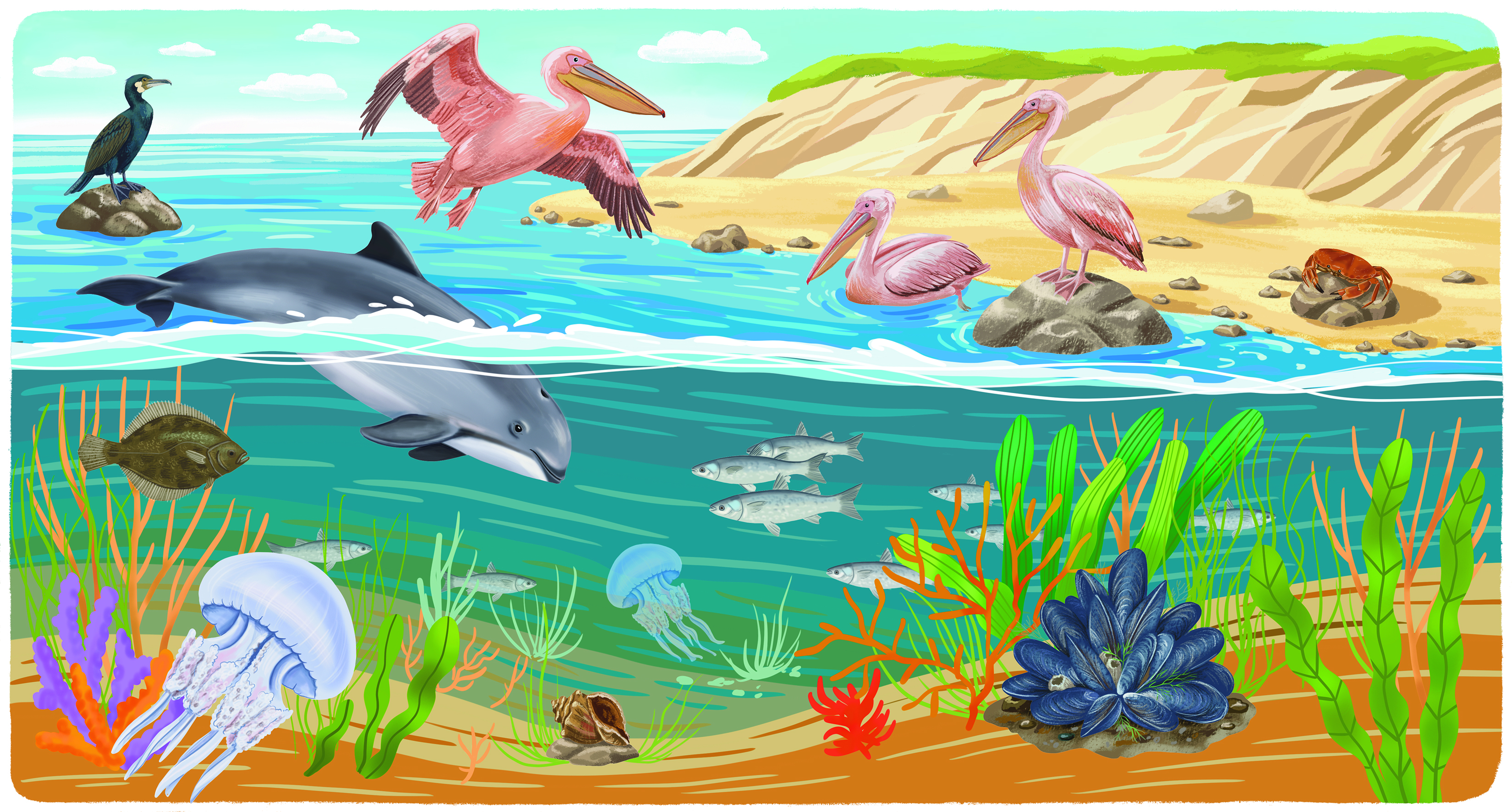 Морской мир Азовского моря