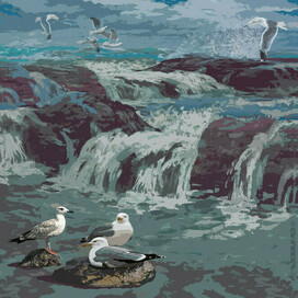 A young seagull-the first storm.