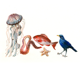 invertebrates, vertebrates