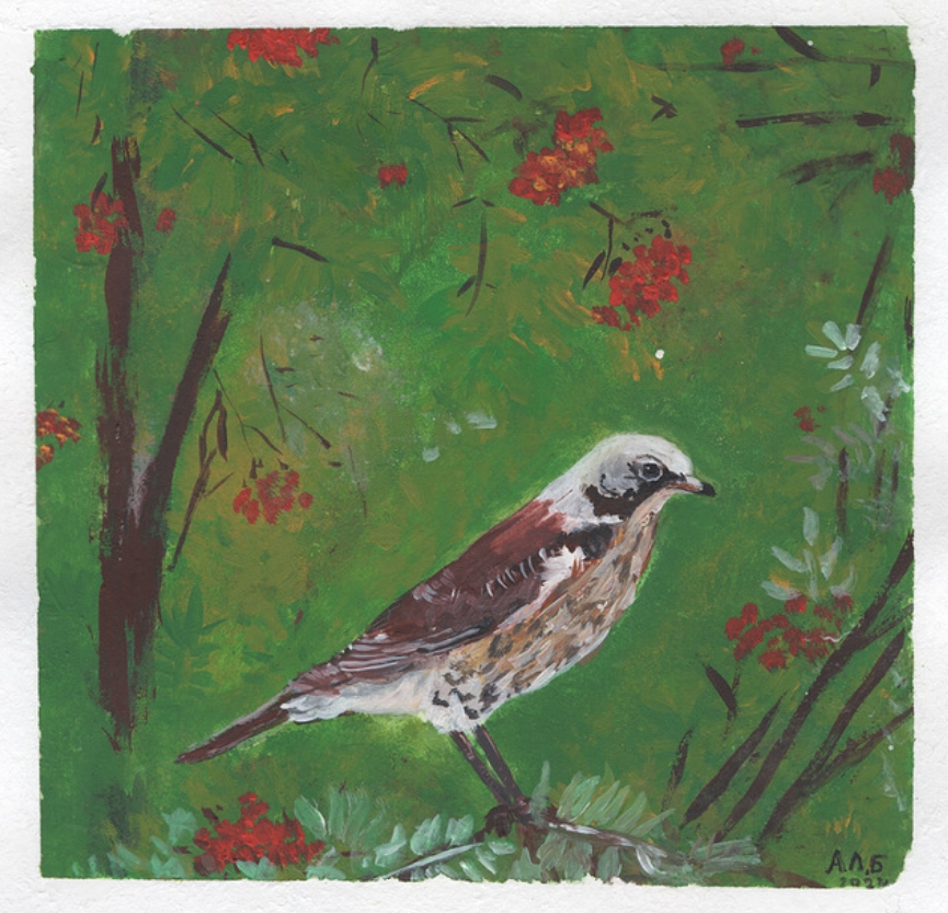 Thrush and Rowan Berries