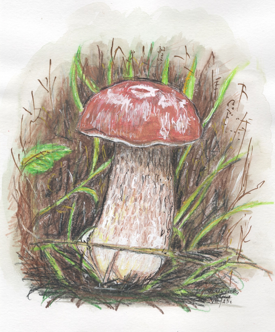 Quiet Forage