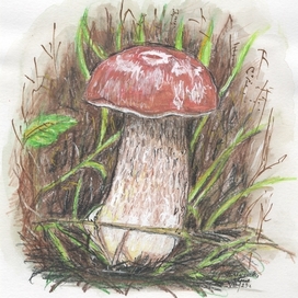 Quiet Forage