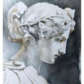 Head