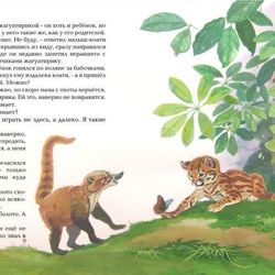 Коати и Жагуатирика  2