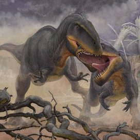 Tyrannotitan chubutensis