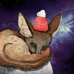 Space Fennec Fox