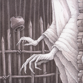 Полуночница