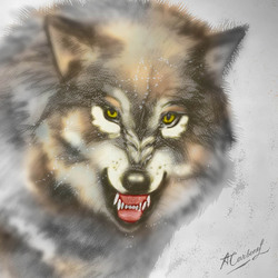 Loup