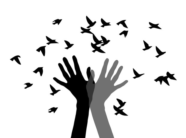 Main hands  releasing birds black and white