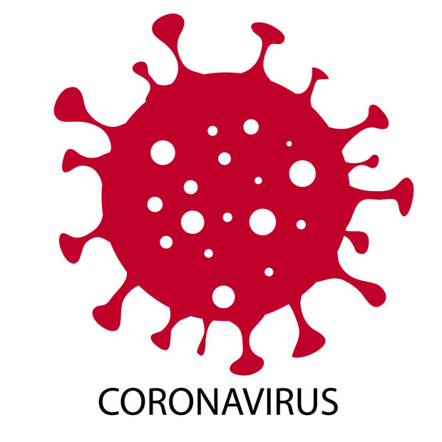 Main coronavirus1