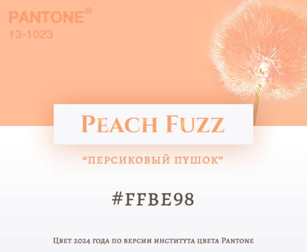 Main 13 01 fb pantone