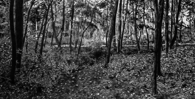 Main %d0%92 %d0%a6%d0%b0%d1%80%d0%b8%d1%86%d1%8b%d0%bd%d0%be 1