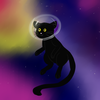 Black cat in space