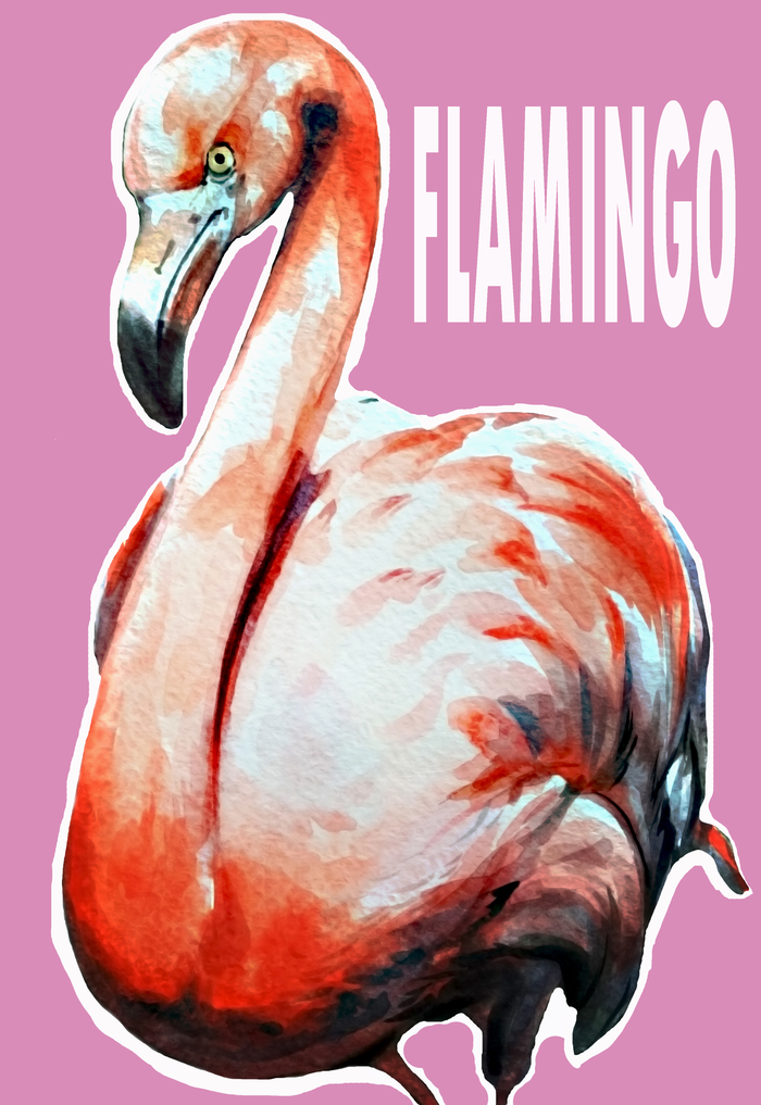 Фламинго