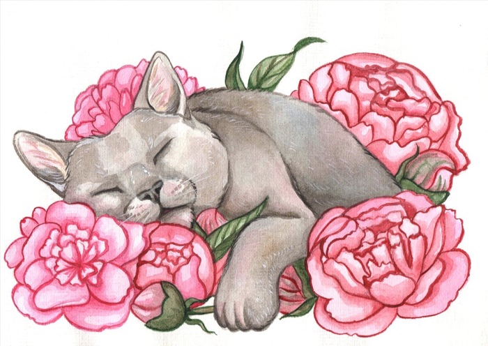 Спящий в пионах кот