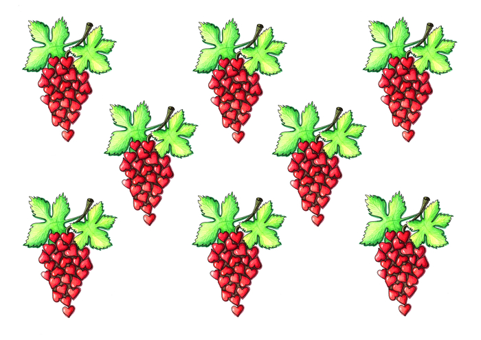 Сердечный виноград