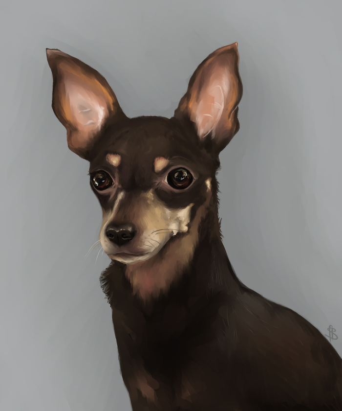 Портреты животных на заказ