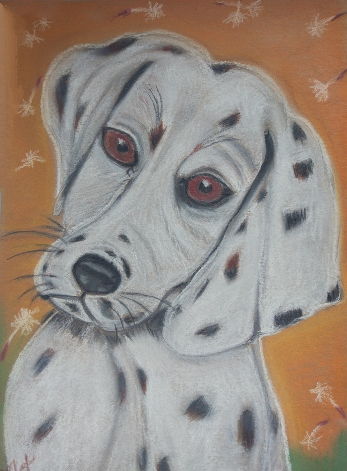 Щенок летним днём