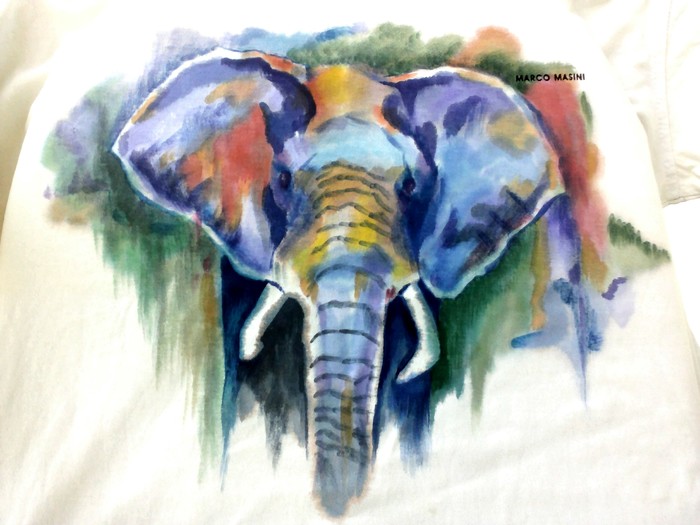 Elefant