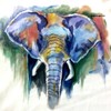 Elefant