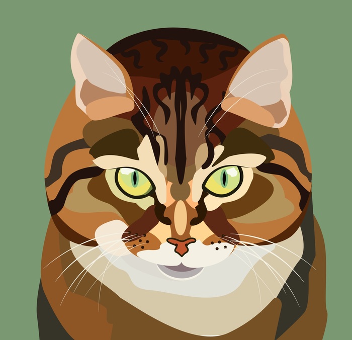 Голодный взгляд