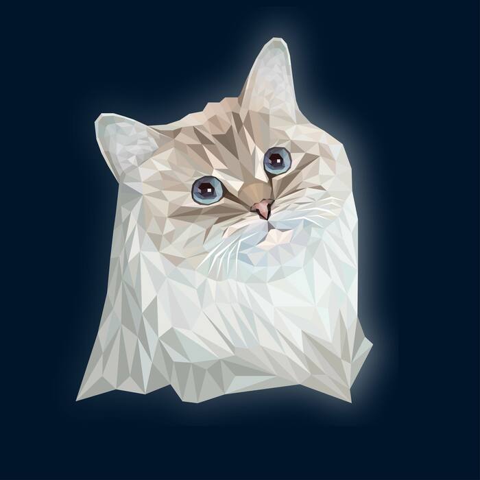 Кот 