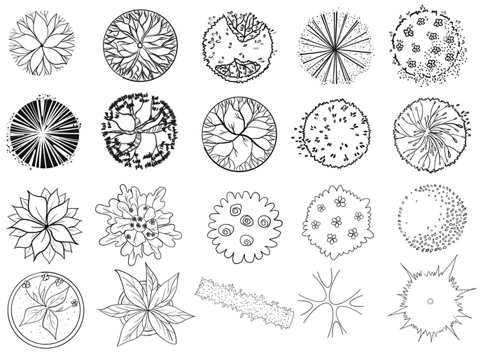 Набор для ландшафтного скетча/дизайна с условными обозначениями кустов и деревьев ч/б