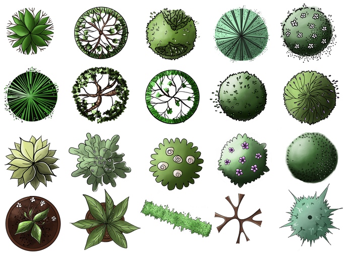 Набор для ландшафтного скетча/дизайна с условными обозначениями кустов и деревьев