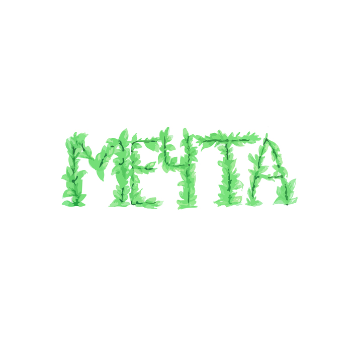 Мечта 