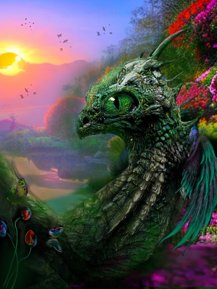 Dragons