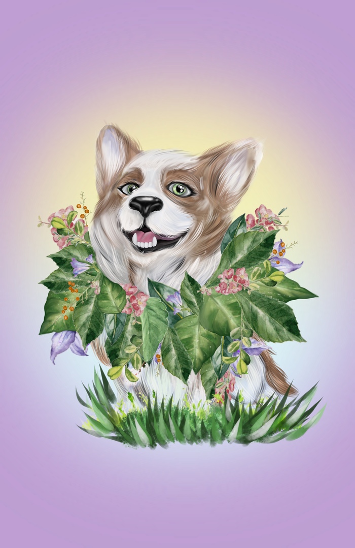 Коржик 