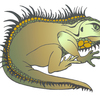 Plump green iguana curled up in a ball with her back to the audience