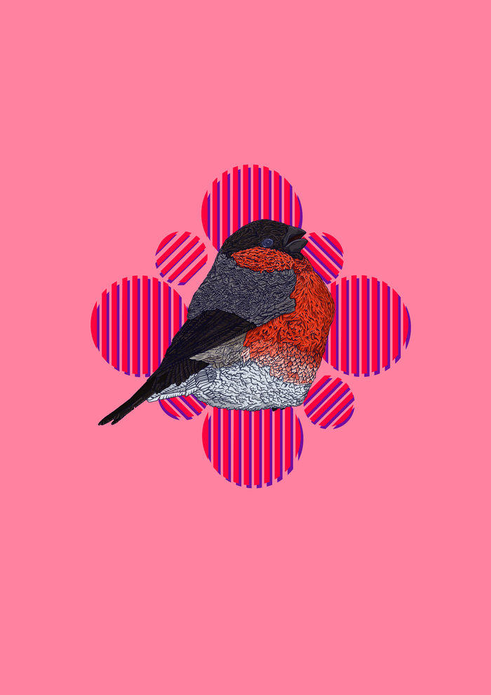 Digital Art "Bullfinch"