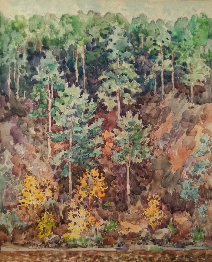 Сосновый холм