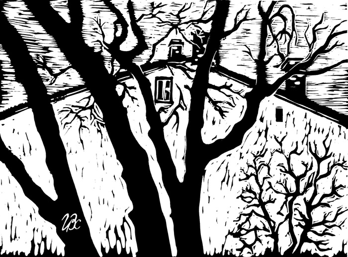 из серии "Петербург"