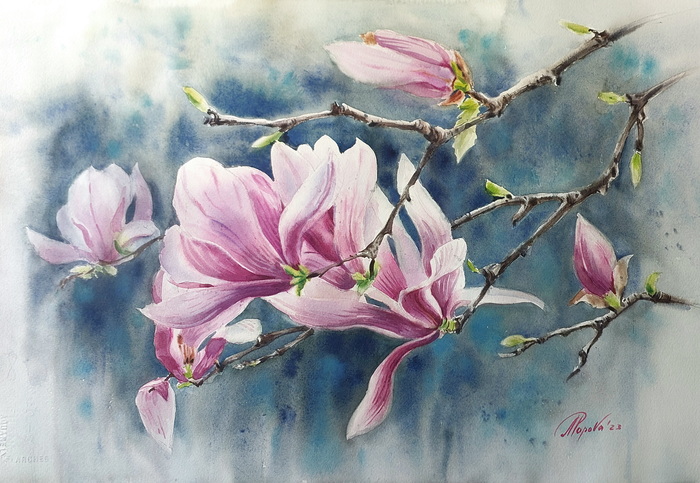 Ветка магнолии