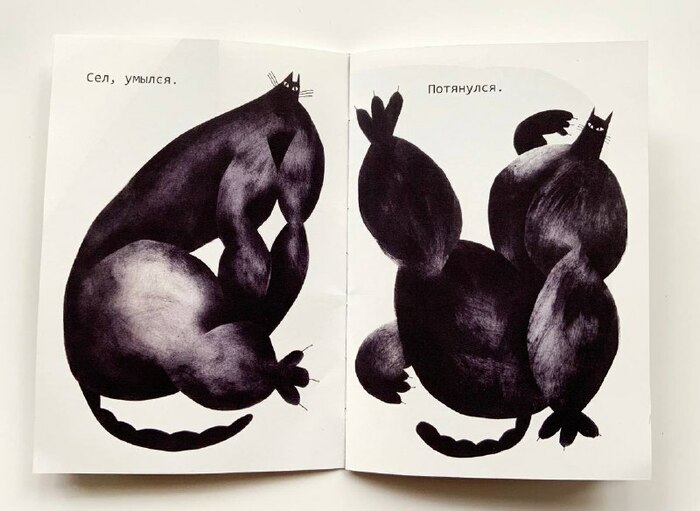 Зин "Сильный кот"