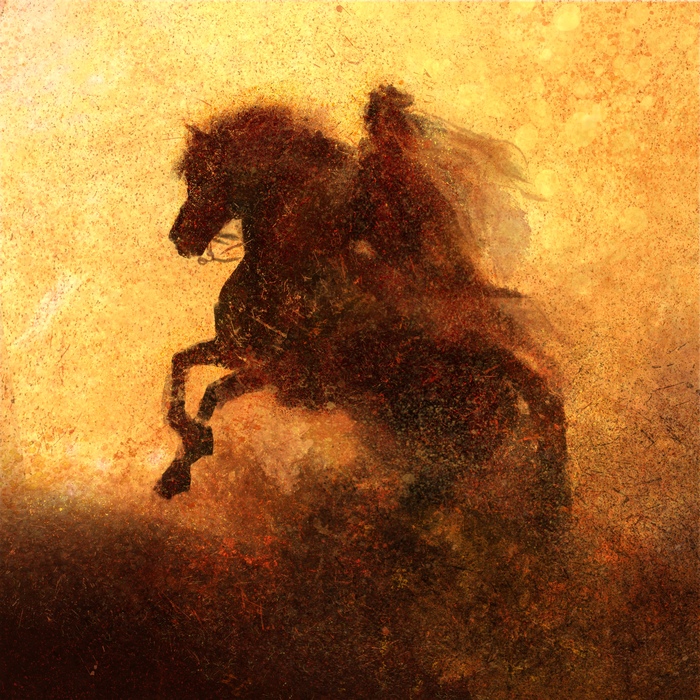 Всадник пустыни