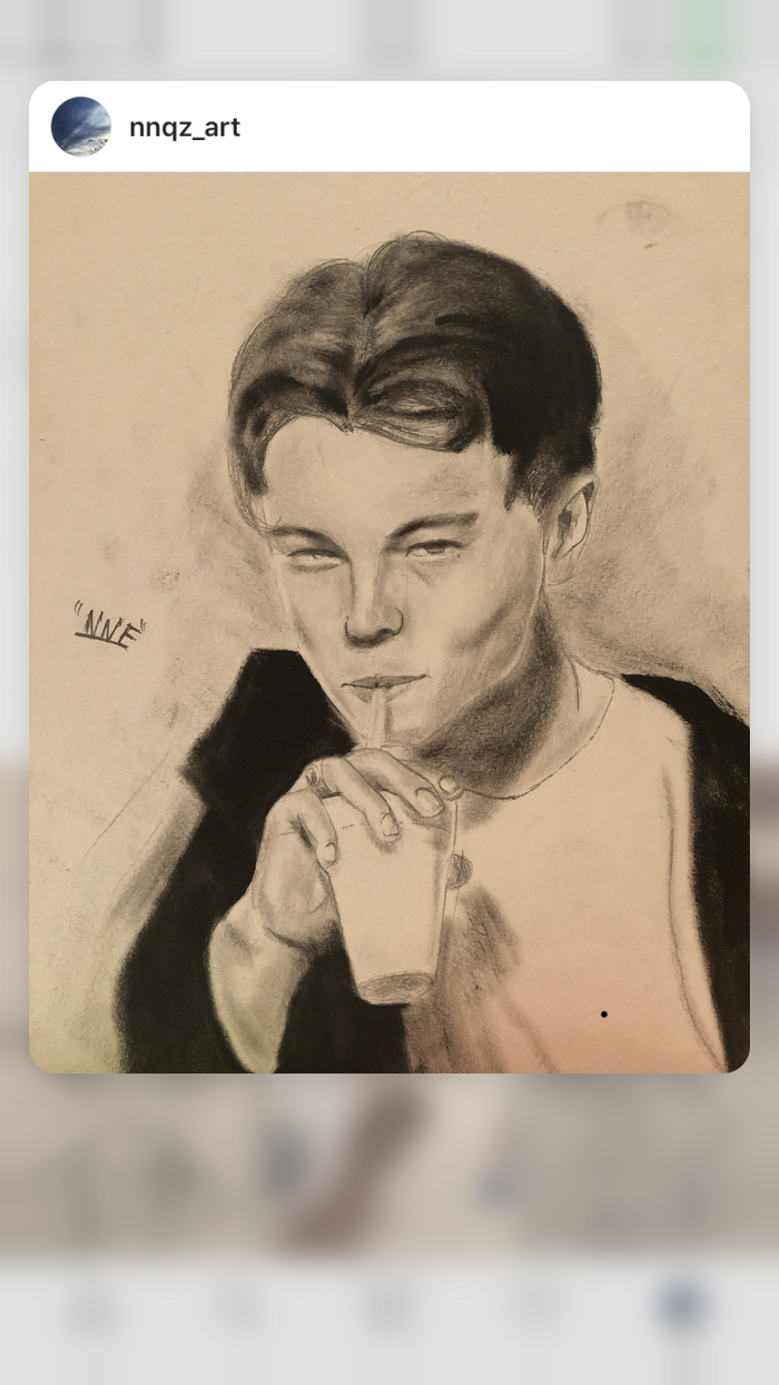 Leonardo Wilhelm DiCaprio