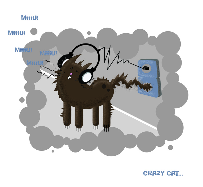 Crazy cat