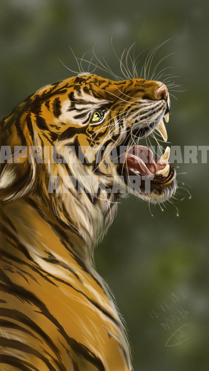Tiger